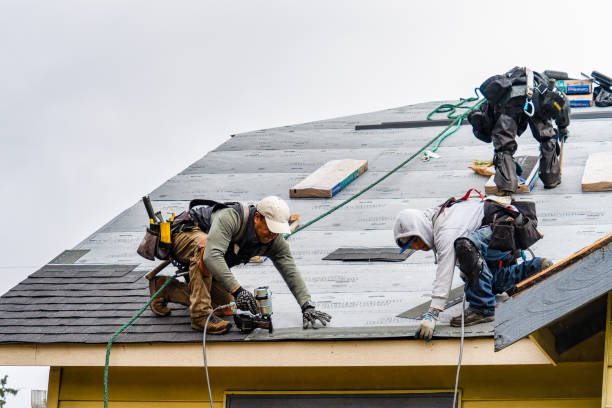 Professional Storm Damage Roof Repair technician working in Paradise, CA